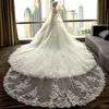 Amazing Watteau Wedding Dresses Sexy V Neck Lace Appliques Lace Up Backless Bridal Gowns A Line Tulle Long Train Wedding Dress