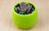 DHL Kleurrijke Plant Pot Plastic Ronde Sucuulente Plant Pot Home Office Desktop Tuin Deco Tuin Potten Tuinieren Tool