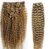 Brazilian Virgin Habil Brazil Loira Africano Americano Kinky Curly Clipe em Extensões de Cabelo 100g 7 Pcs Clipe em Extensões Humanas de Cabelo