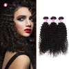 HELA 10BUNDLAR LOT 7A Virgin Brasilian Afro Curly Wave Hair Weaves 1B Natural Black Human Remy Hair Weft för svarta kvinnor Fora302D