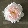 DIY 15cm konstgjorda blommor Silk Peony Flower Heads Wedding Party Decoration Supplies Simulation Fake Flowers Head Home Decoration7473686