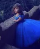 Royal Blue Princess Wedding Flower Girl Dresses Tutu Stupy Off Shoul Spelly Crystals 2019 Toddler Girls Pageant Communi9002687