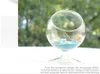 Creative Globe Hydroponic Plant Glas Vase, Micro Landscape Glass Dekoration Eco Vase Home Set Ornament