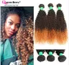 # 1B / 4/30 Capelli ricci afro crespi a tre tonalità di colore Ombre Capelli vergini ricci crespi brasiliani intrecciati