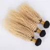 Radice scura Afro crespa ricci capelli vergini malesi con pizzo frontale bionda Ombre # 1B 613 pacchi capelli umani con chiusura frontale di pizzo