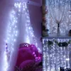 LED-Weihnachtslichter LED-Vorhang LED-Streifen Weihnachtslicht Innen im Freien unter Verwendung des Streifens 3*3M 3*6M IP65 wasserdichtes Licht