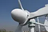 Generator turbiny wiatrowej AMG 1000W 48V / 96V, 3 ostrza Niski generator AC RPM, dla łodzi pędnej / rybackiej