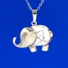 Elephant Hangers Ketting Ketting Natuurlijke Gem Stone Crystal Pendant Lapis Lazuli Opal enz. Pendulum Charms Reiki Sieraden