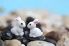 Fairy Garden Decorazioni da giardino in miniatura per coniglietti di coniglio di colore bianco, mini conigli artificiali in resina, decorazioni bonsai