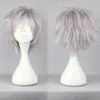 100% Brand New High Quality Fashion Picture Pełna Koronkowa Peruki16 Kolory Nowa Moda Krótki Prosto Man Wig Cosplay Party Peruki Darmowa Wysyłka