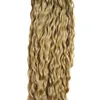 Brazilian virgin hair honey blonde curly micro bead hair extensions 100g micro ring loop human haar 1gs 100s micro loop 1g curly7569988