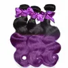 8A Malaysian Purple Ombre Lace Closure With Bundles Two Tone 1b Purple Human Hair With Closure Cosplay Purple Dark Roots Bundles8320194