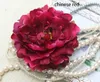 Dia: 11cm/4.3 -tums 50 st gratis frakt Emulational Silk Peony Flower Head For Home, Garden, Wedding eller Beauty's Hat eller Dress Decoration Holiday