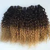 Tre ton 1b / 4/27 kinky Curly Ombre Mänskliga hårförlängningar 3st mörkrot brun till honung blondin ombre mänskligt hår vävbuntar