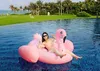 150 * 150 * 120cm Floating Pool Giant Swan Uppblåsbar Simning Madrass Uppblåsbar Ride-on Pool Toy Float Swan Uppblåsbara Swim Ring Raft