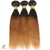 Virgin Peruvian Loose Wave Ombre Hair Extensions 1pcslot Peruvian Hair Weave Bundles Ombre Human Remy Hair T1B6132646147