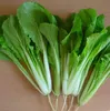 più di 1200 semi ogni set 12 tipi di semi di verdure a foglia verde, colza acqua spinaci cavolo cinese lattuga sowthistle