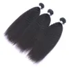 Paquetes de tejido de cabello humano virgen brasileño Kinky Straight 8A Extensiones de cabello recto peruano malasio indio mongol italiano grueso Yaki