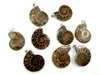 ammonite bijoux argent