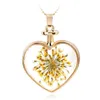 Kadınlar için zincir Kolye Moda Şeffaf Kristal Cam Yuvarlak Yüzer Locket Kurutulmuş Çiçek Gümüş Kolye Locket Kolye