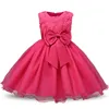 Neonate Dress Party Lace Dress Kids 9 colori 3D Rose Flower Abiti Abbigliamento per bambini Ragazze Abiti da principessa per la festa nuziale A08