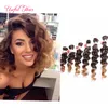 Freeshipping 6st / Lot Jerry Curly FreeTress Hår för ett huvud Ombre Brown Syntetisk Hair Extension Curly Crochet Lila Braiding Hair