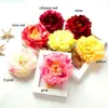 Dia: 11cm/4.3 -tums 50 st gratis frakt Emulational Silk Peony Flower Head For Home, Garden, Wedding eller Beauty's Hat eller Dress Decoration Holiday