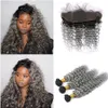 Sliver Grey Human Hair Deep Wave Avec Oreille À Dentelle Frontale 1b Gris Foncé Racine Ombre Péruvienne Vierge Cheveux Avec Dentelle Frontale