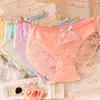 sale Bow tie cute girl Women's Panties underwear transparent womens lace sexy ladies underwears NP025