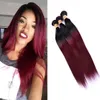 Colored Brazilian Burgundy Ombre Human Hair 3 Bundles Cheap Two Tone 1B/99j Brazilian Straight Remy Human Hair Weave Extensions