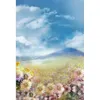 Blauer Himmel-Weiß bewölkt Digital-Hintergründe für Fotografen-Chrysanthemen-Blumen-szenische Hochzeiten-Foto-Stand-Kulissen im Freien