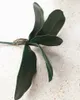 Mazzo di foglie di orchidea Foglia di phalaenopsis Lunghezza 28 cm Farfalla artificiale Foglie di orchidea Pianta verde Matrimonio Natale Decorazioni per la casa