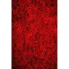 8x10ft Rosas Vermelhas Foto Fundos Românticos Parede Da Flor Pano de Fundo Estúdio de Casamento Imagem Tiro de Parede de Papel De Parede Dos Namorados Backdrops