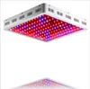 Dubbele chips 1600W LED Grow Light Best Veg-Bloom Spectrum voor Hydroponics Greenhouse Plants Veg en bloei groeien tent