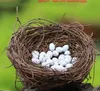 10SETS Miniatures de resina linda Mini pájaro Nido con huevos 2Suestra Decoración de hadas en miniatura para jardín Bonsai Home Proveedores