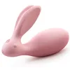 8 fonctions étanche USB Rechargeable télécommande sans fil Silicone culotte vibrante lapin vibrateur Sex Toys pour femmes 179011912265