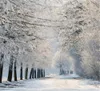 田舎道冬の生地の背景写真美しい白い雪覆われた木の風光明媚な写真スタジオの小道具の背景10x10ft