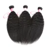 Бразильские волосы девственницы человеческие волосы странный прямой яки натуральный цвет 3 пучки 3 фото / лот королева волос двойной уток от г-жи джоли