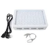 100w led crece la luz