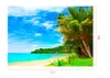 SUSU 7x5ft Beach Photography Backdrops Blue Sky White Cloud Background Green Tree Photo Studio Wrinkles Free