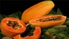 100% echte Papaya (Carica Papaya) Samen. Zwerg Bio Sweet Papaya-Samen in Bonsai, 15pcs / Tasche Seltene Fruchtsamen Essbare Carica Papaya