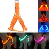 LED Nylon Haustier Hund Katze Kragen Peppy Hundegeschirr Led Blinklicht Harness Kragen Haustier Sicherheit Led Leine Seil Gürtel Whole1410582