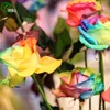 50 Semi raro seme Olanda Arcobaleno Rosa Fiori Lover colorate piante di giardino domestiche F056