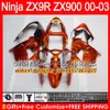 Unpainted Full Fairing Kit voor Kawasaki ZX 9 R ZX9R 00 01 02 03 900CC 40NO0 ZX 9R ZX900 ZX900C ZX-9R 2000 2001 2002 2003 FUNLING SET