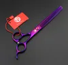 8.0 "Purple Dragon Professionnel Pet Ciseaux De Toilettage JP440C Ciseaux De Coupe Ciseaux Amincissement Ciselé Cisaillement Pet Ciseaux De Coupe, LZS0746