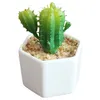 Free Shipping Cute Decorative Ceramic Potted Green PVC Succulents Plants Display Cactus Planter For Home Office Decor Dropshipping