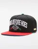 HEISS ! Neue Snapback-Hüte, Baseballkappe für Männer, Frauen und Söhne, grau/grün, Snapbacks, Sport-Mode-Caps, Marke Hip Hip Street Wear Cap5603332