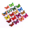 Nachtlichten Romantische magische kleurrijke vlinder decoratief licht lijm LED kleurrijk ideaal voor kinderen slaapkamer