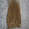 Brazilian virgin hair honey blonde Kinky Clip ins 100g 7pcs Brazilian Kinky Curly Clip In Human Hair Extensions1874216