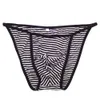 Mens String Bikini Fashional Slipje Front Pouch Strepen Poly Katoen spandex G242C Soft Comfort herenondergoed2332